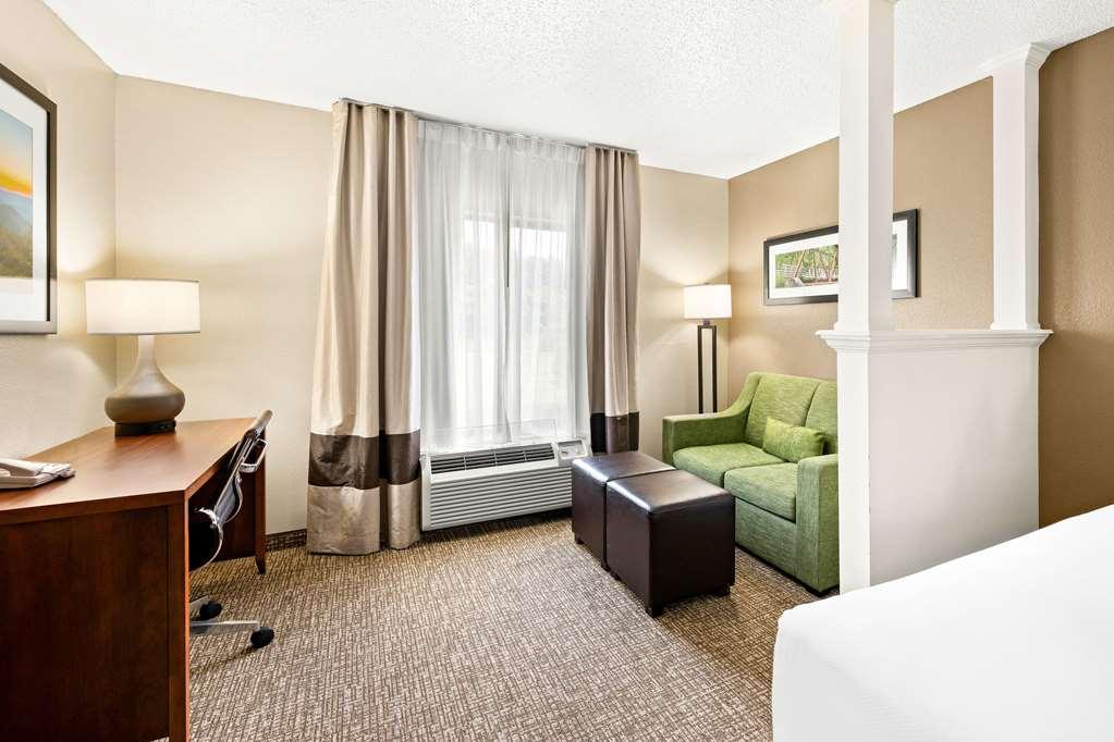 Comfort Suites Abingdon I-81 Rum bild